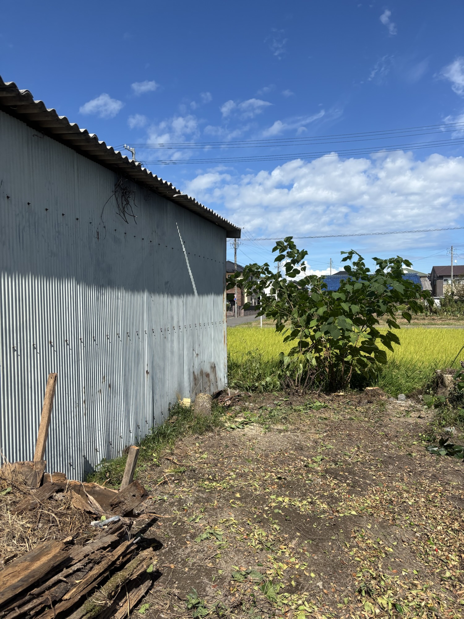 愛知県江南市伐採後